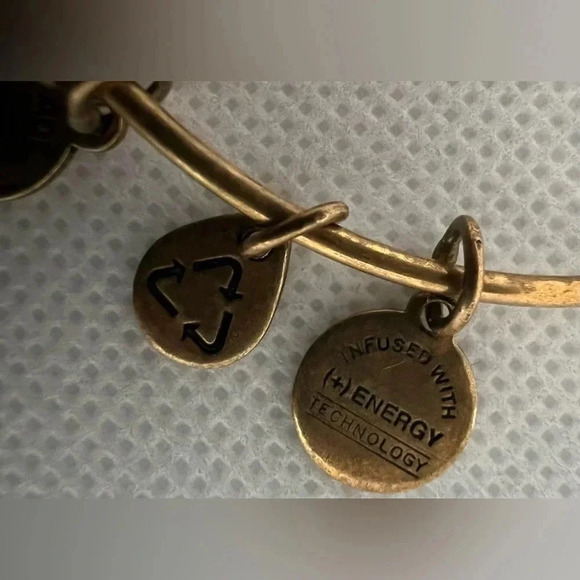 Alex and Ani | Mother/child Hand in Hand charm bracelet. - Picture 5 of 12